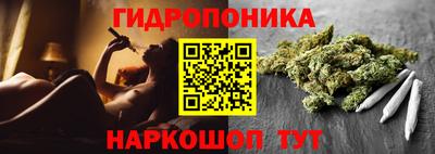 гашик Лесосибирск