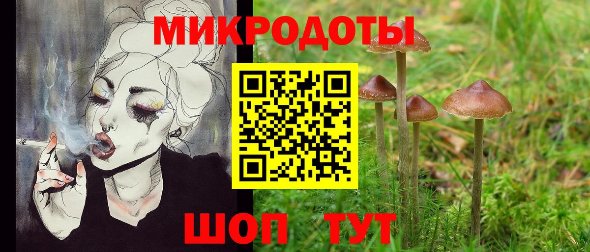Галлюциногенные грибы GOLDEN TEACHER  Вход с VPN  Камышин 