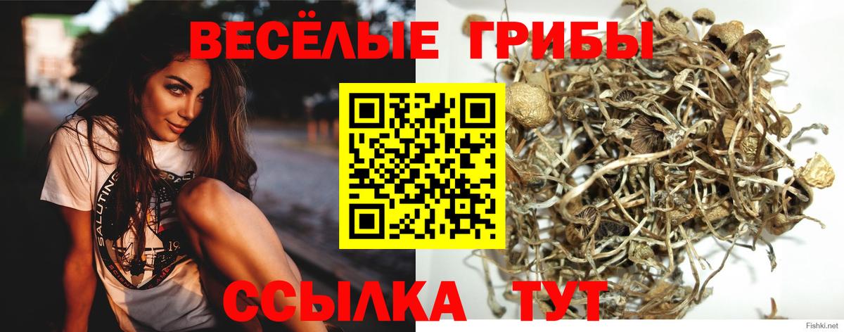 Галлюциногенные грибы GOLDEN TEACHER Камышин